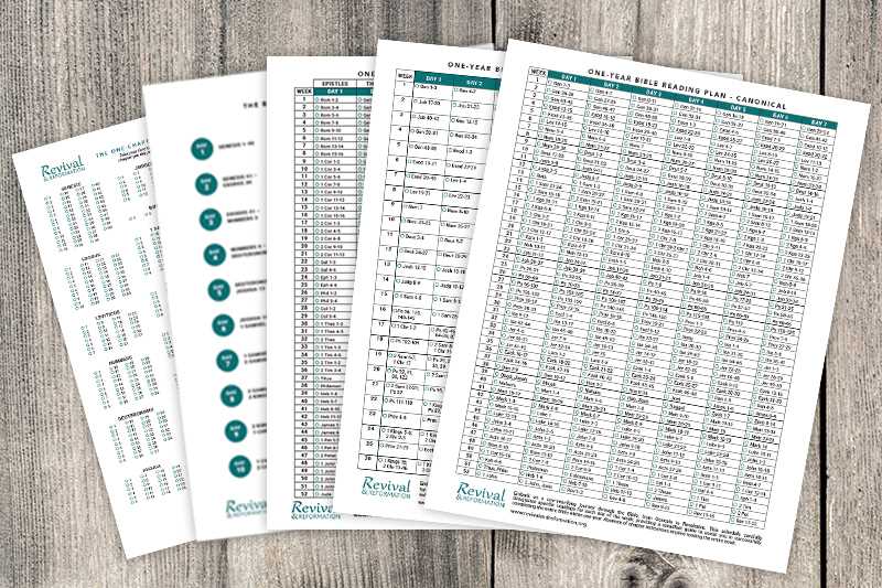 bible in a year plan printable