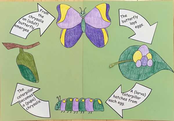 butterfly craft preschool printable