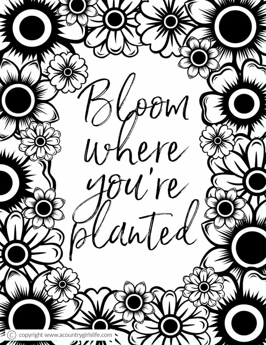 color pages for adults printable