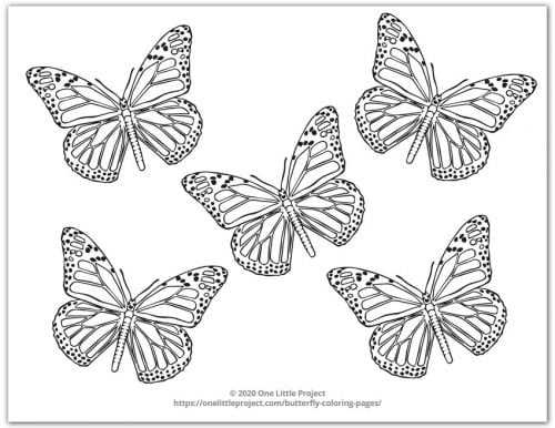 free butterfly coloring printables