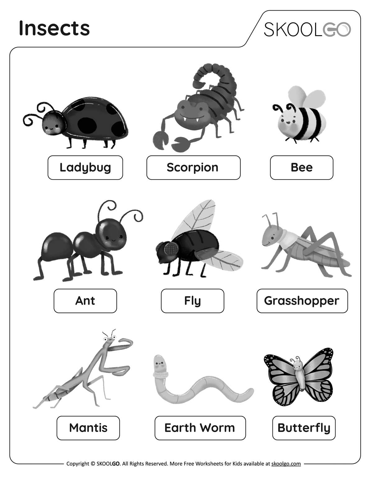 free insect printables