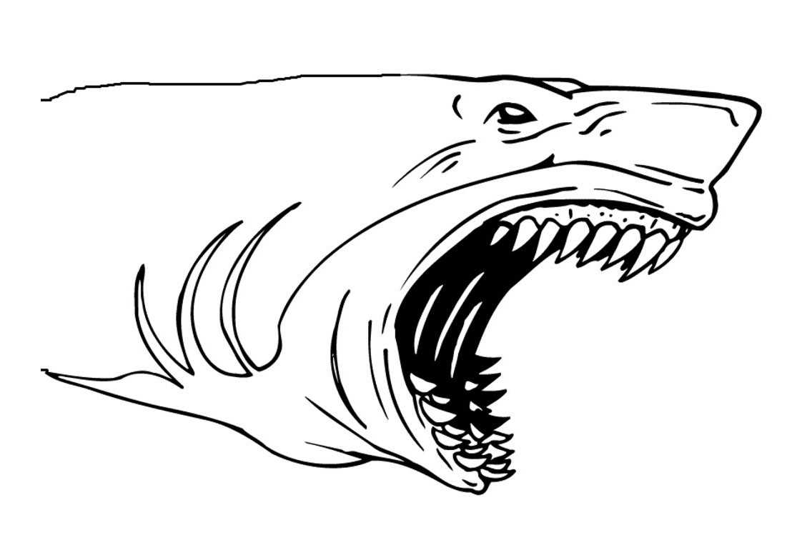 free printable coloring pages shark tooth