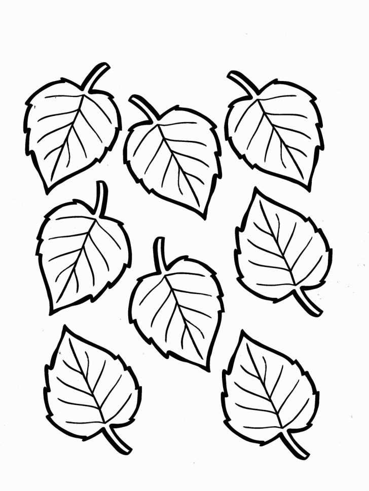 free printable leaves colouring pages free printable leaves colouring pages