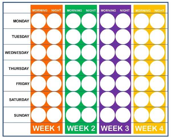 free printable tooth chart printable