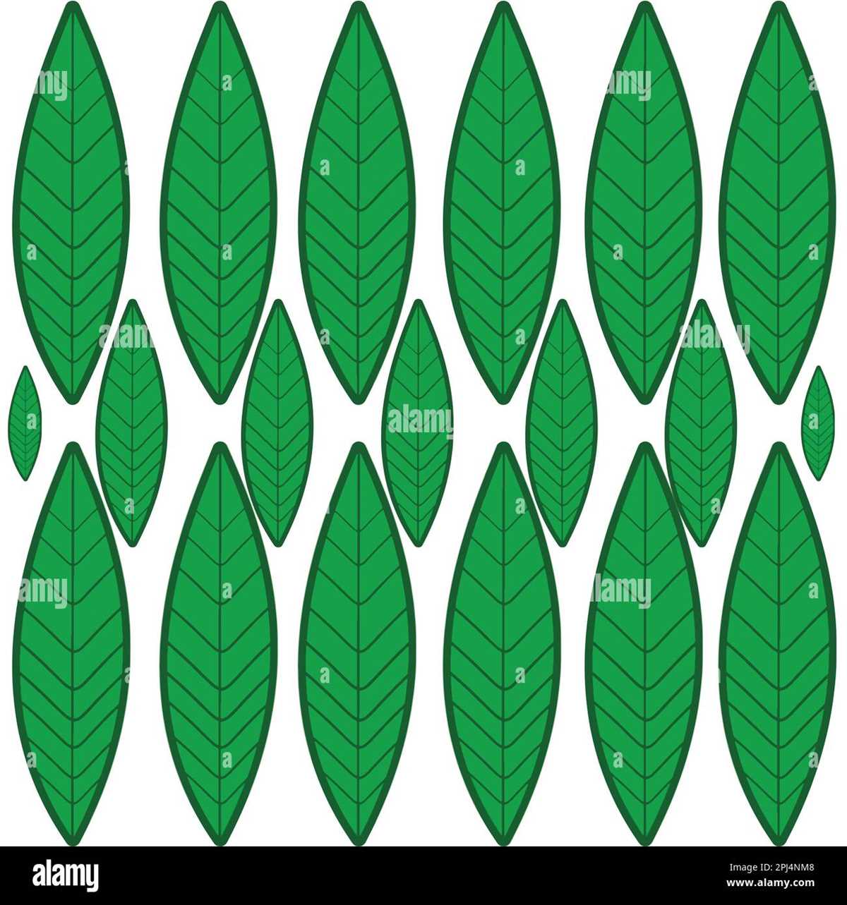 green leaf printable green leaf printable