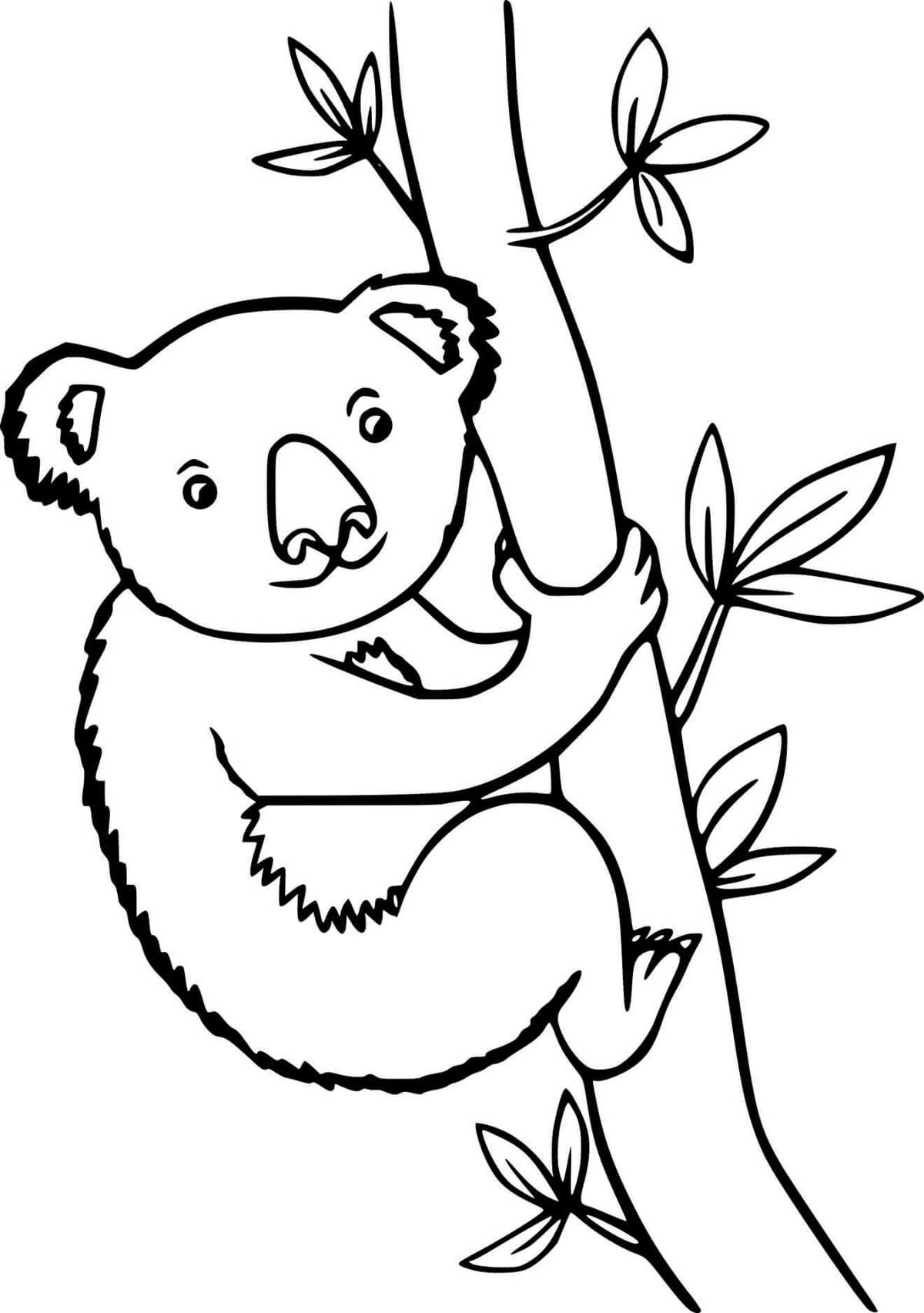 koala printable coloring pages