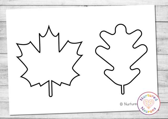 leaf outlines printable leaf outlines printable