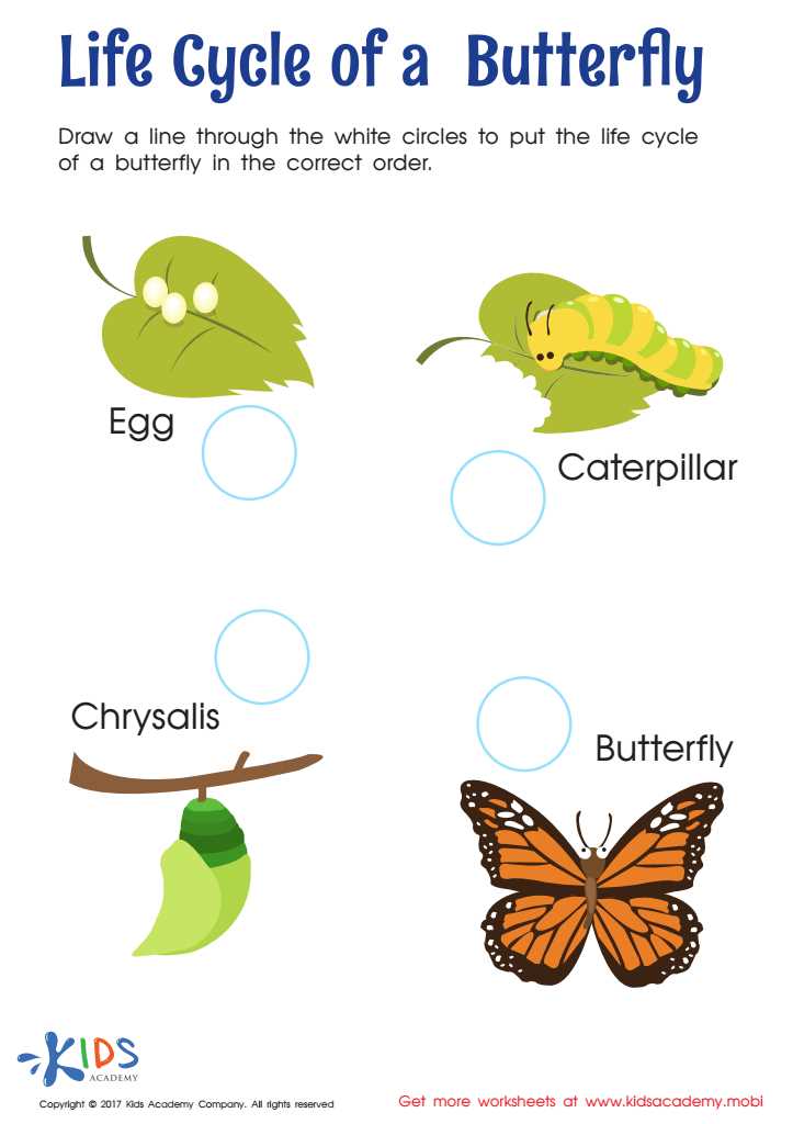 life cycle of a butterfly printables