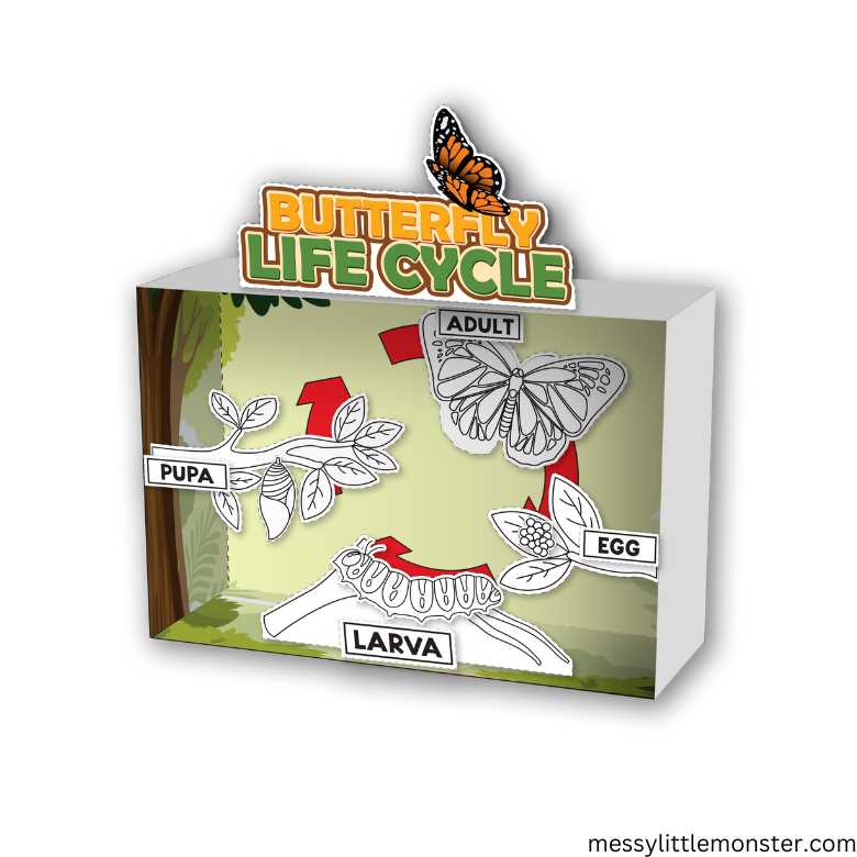 life cycle of butterfly printable