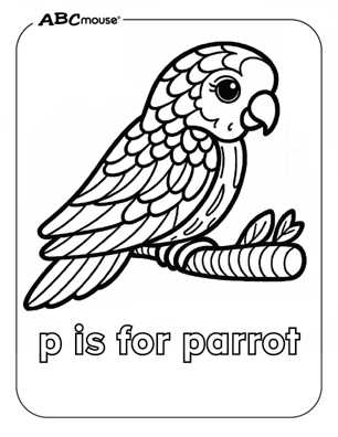 parrot coloring pages printable
