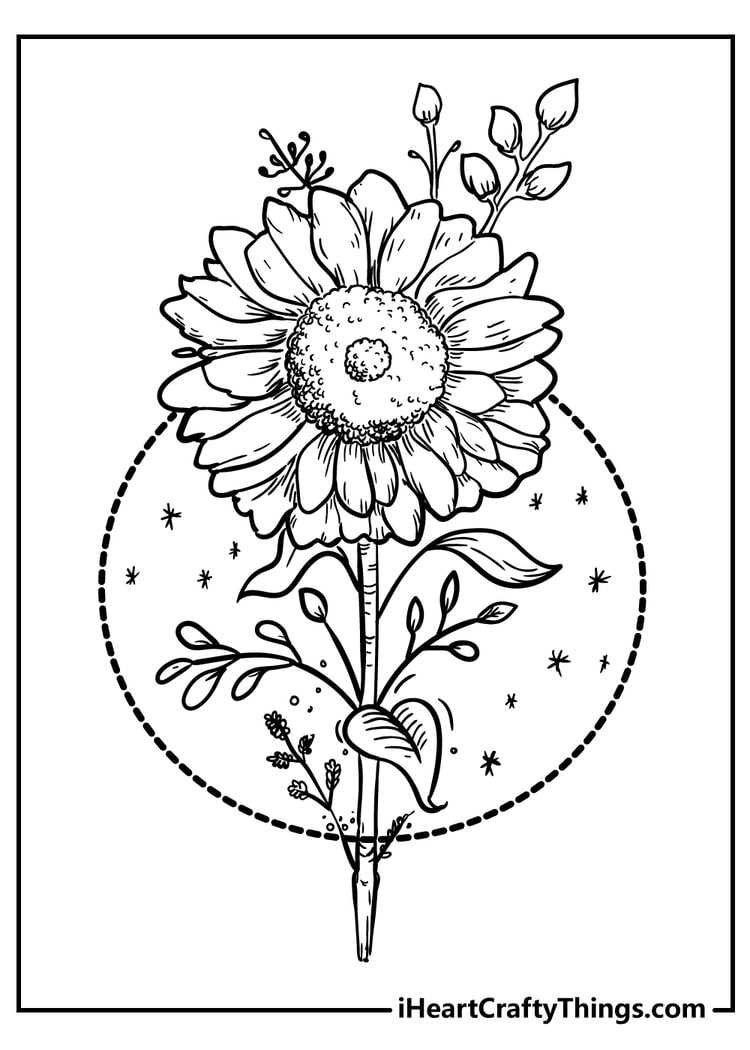 printable adult flower coloring pages
