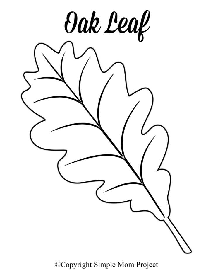 printable autumn leaves cutouts
