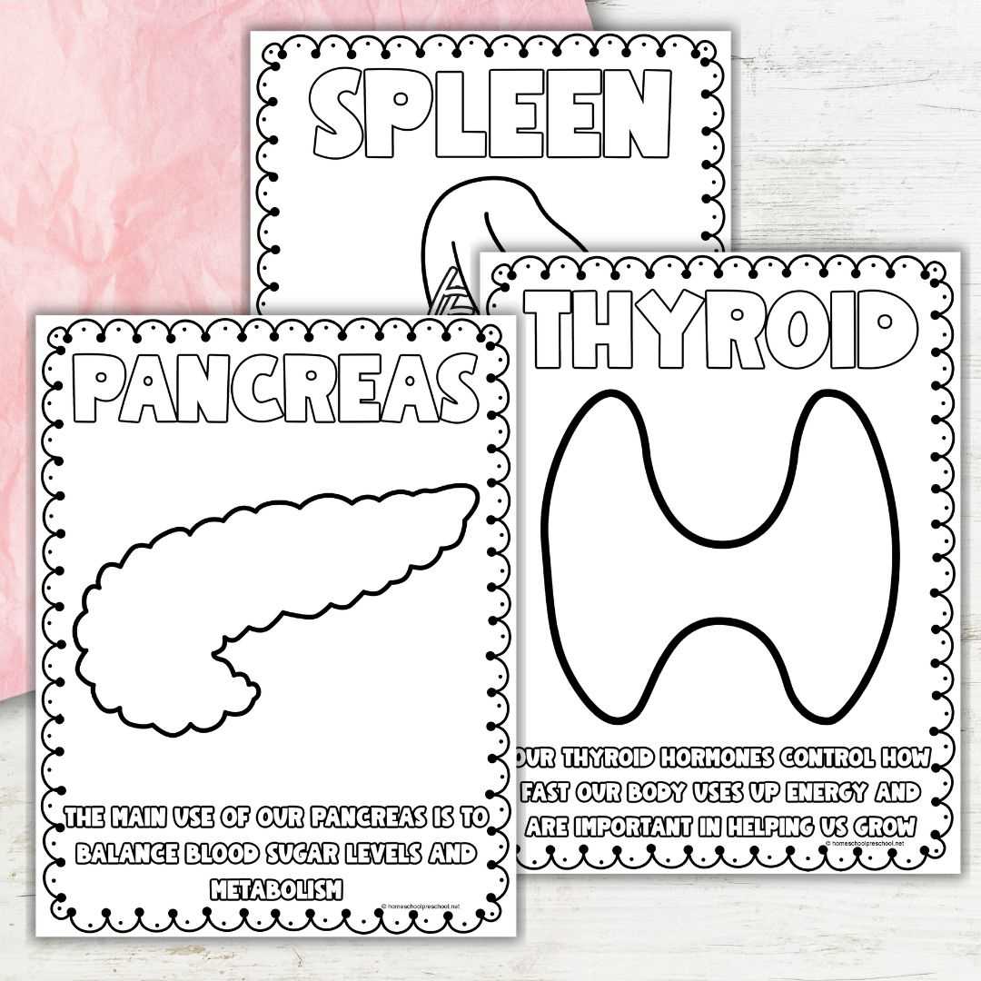 printable body parts art and craft for preschool