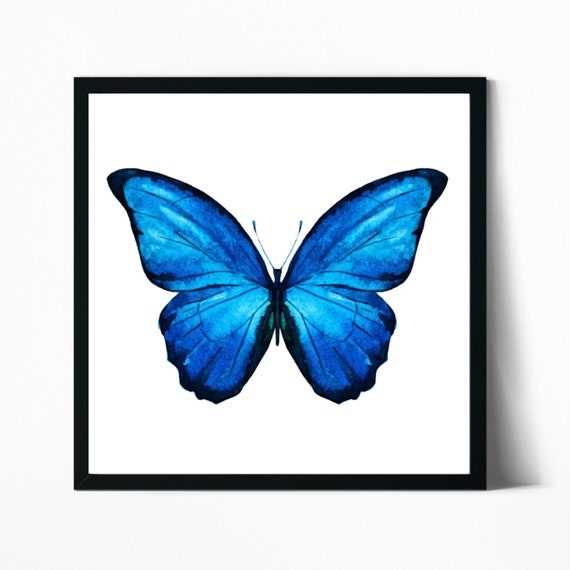 printable butterfly pictures print