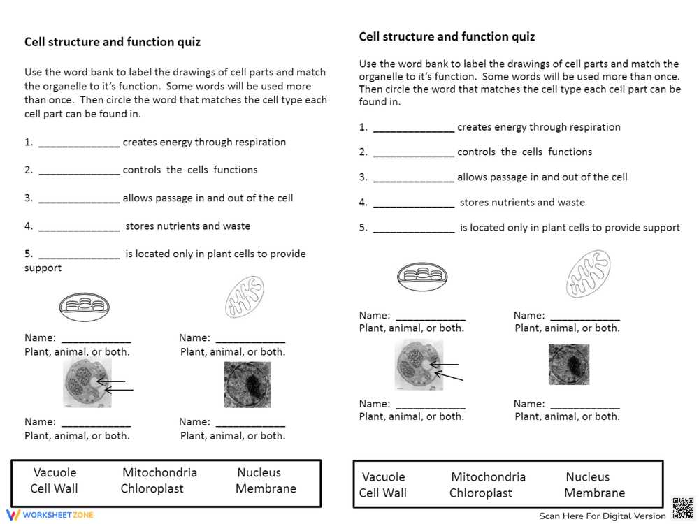 printable cell structure