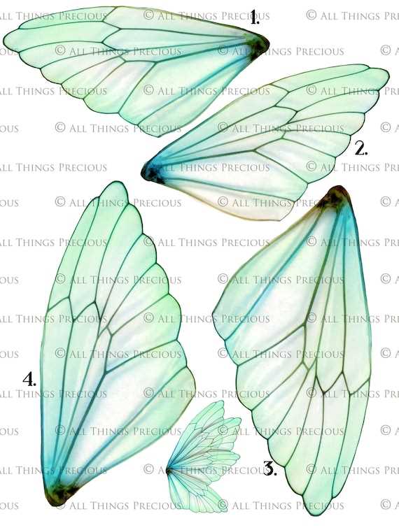 printable fairy wings printable fairy wings