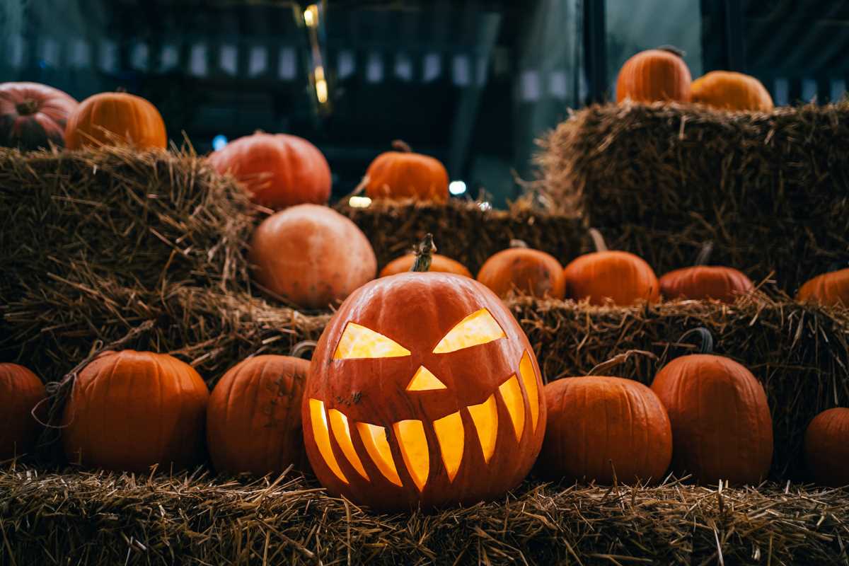 printable free pumpkin carving patterns
