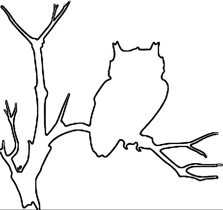 printable owl outline template