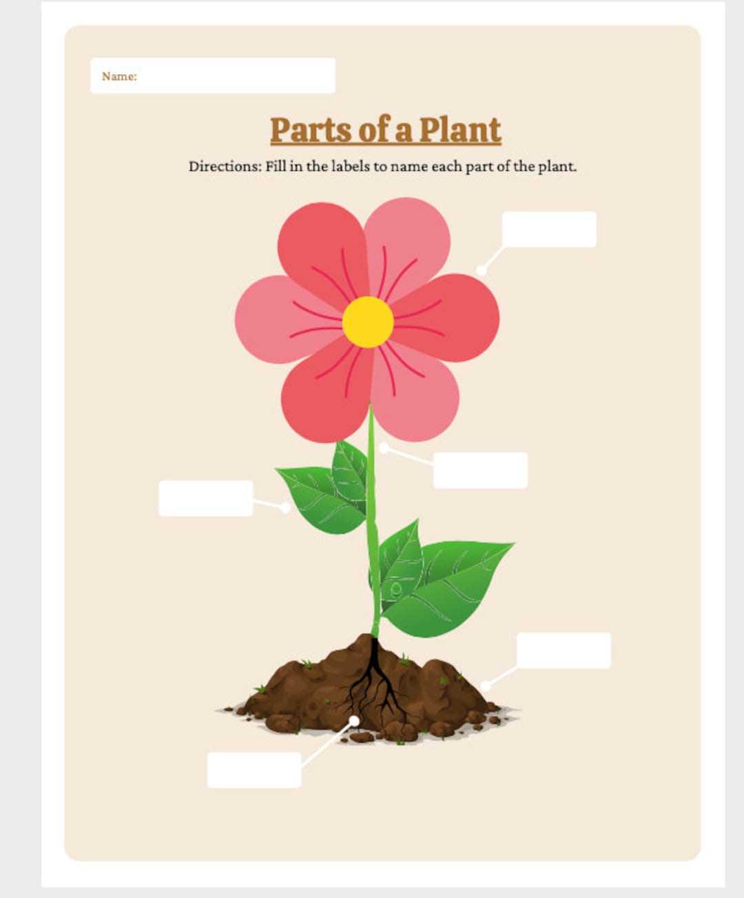 printable parts of a plant