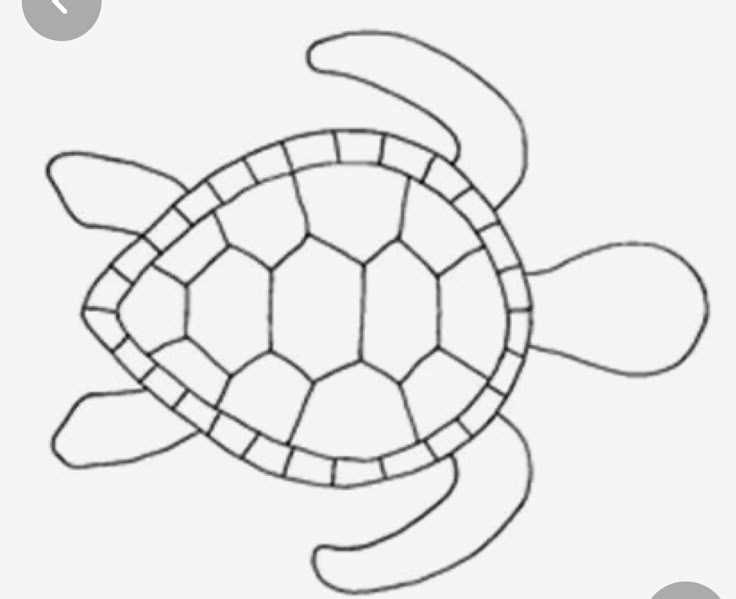 printable sea turtle template