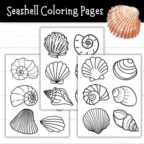 seashell printable template seashell printable template