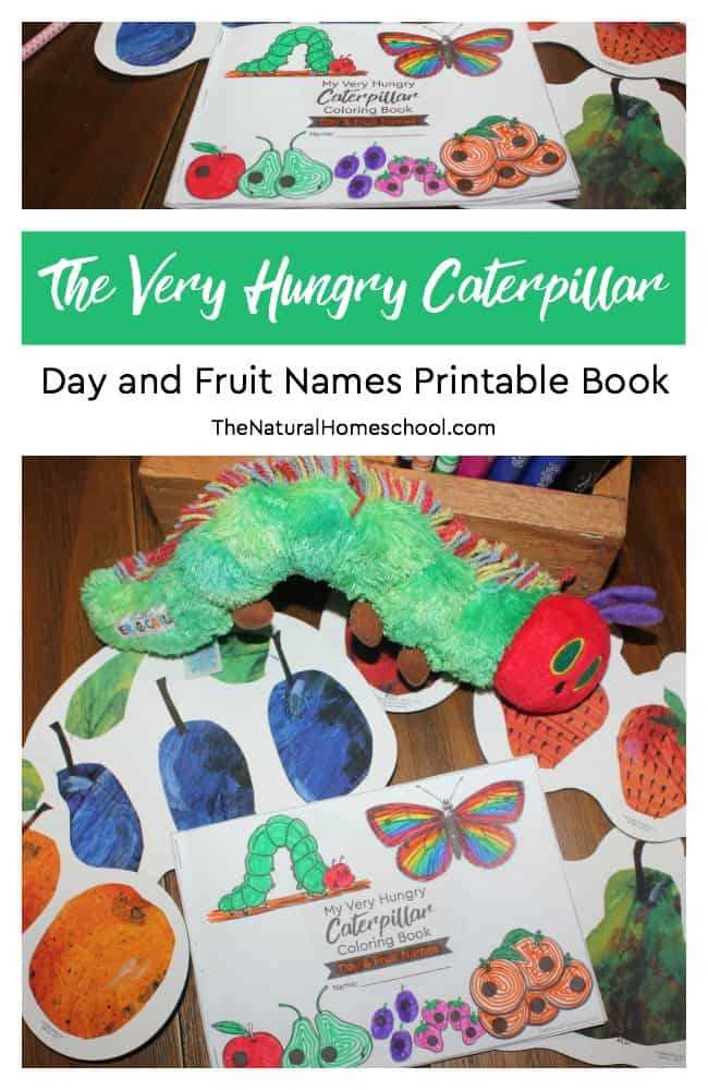 very hungry caterpillar printable very hungry caterpillar printable