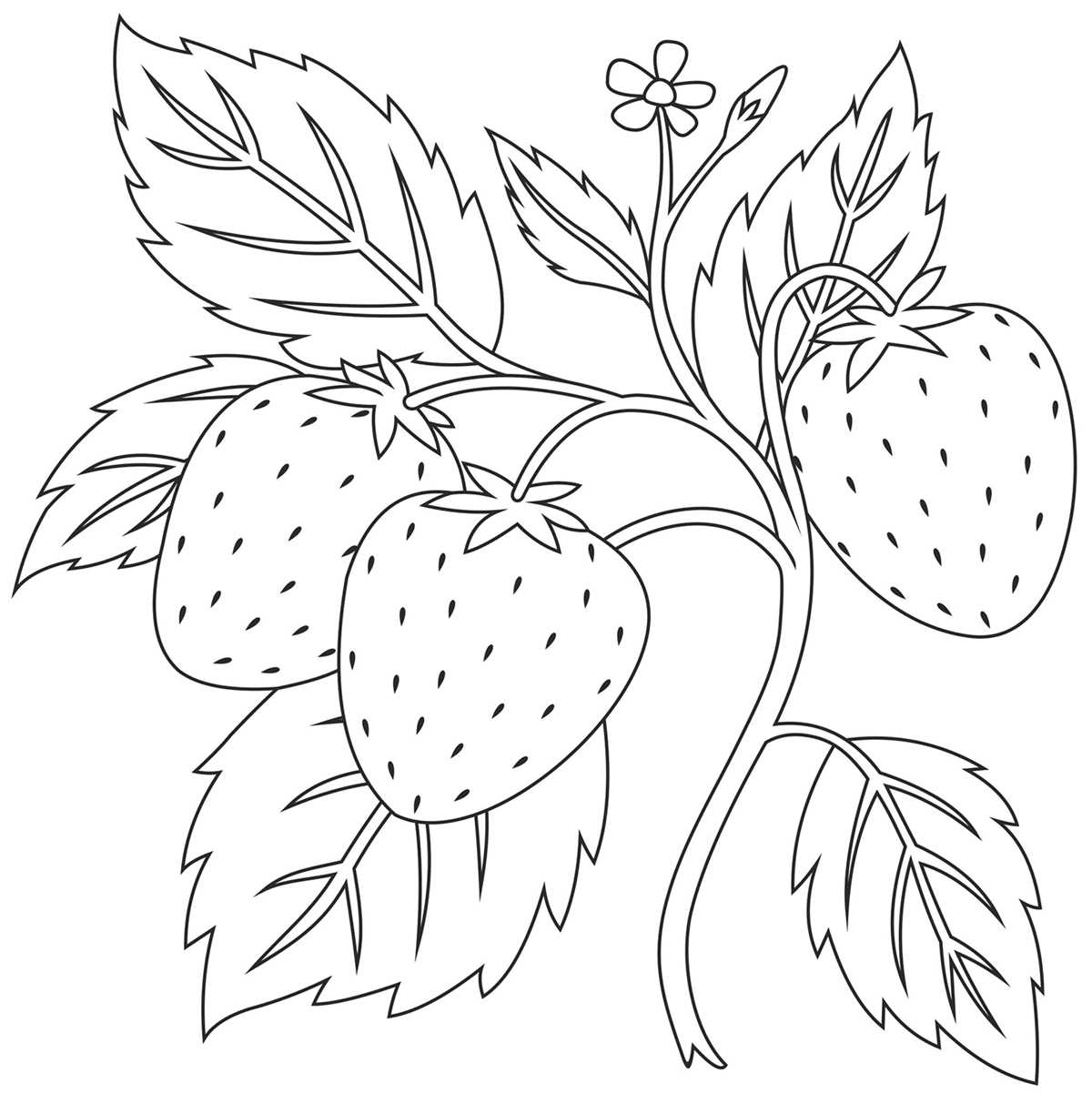 strawberry coloring page printable