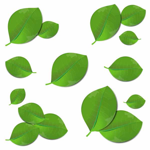 green leaf printable green leaf printable