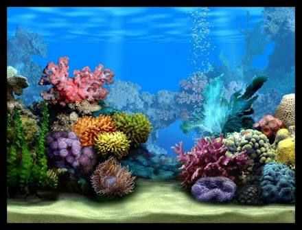 aquarium backgrounds printable