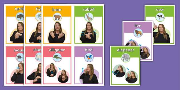 basic sign language asl flash cards free printable