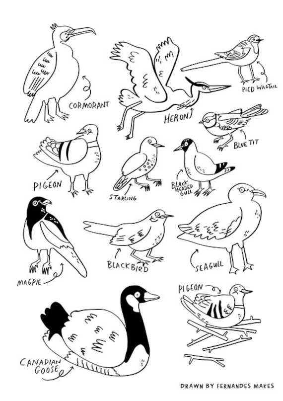birds coloring pages printable birds coloring pages printable