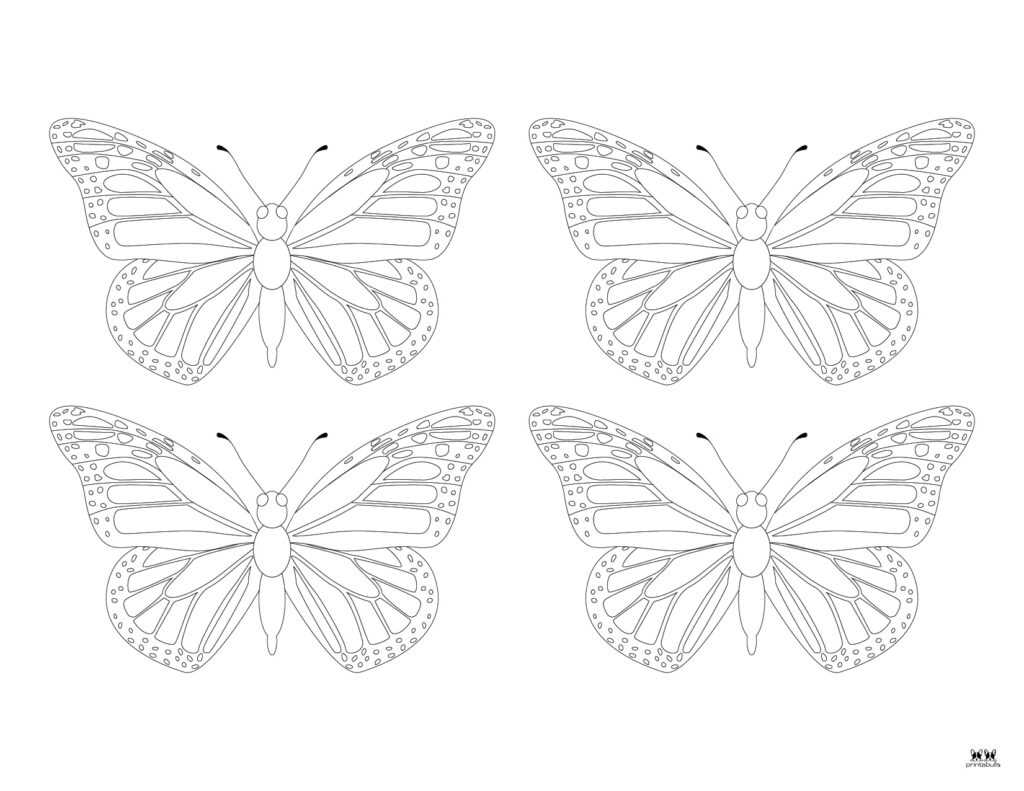 butterfly coloring printable