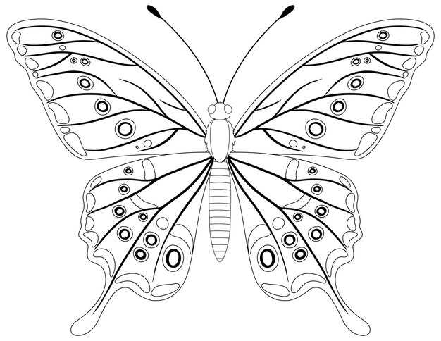 butterfly free printable coloring pages