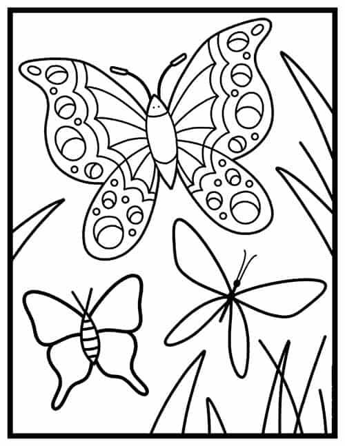butterfly printable coloring