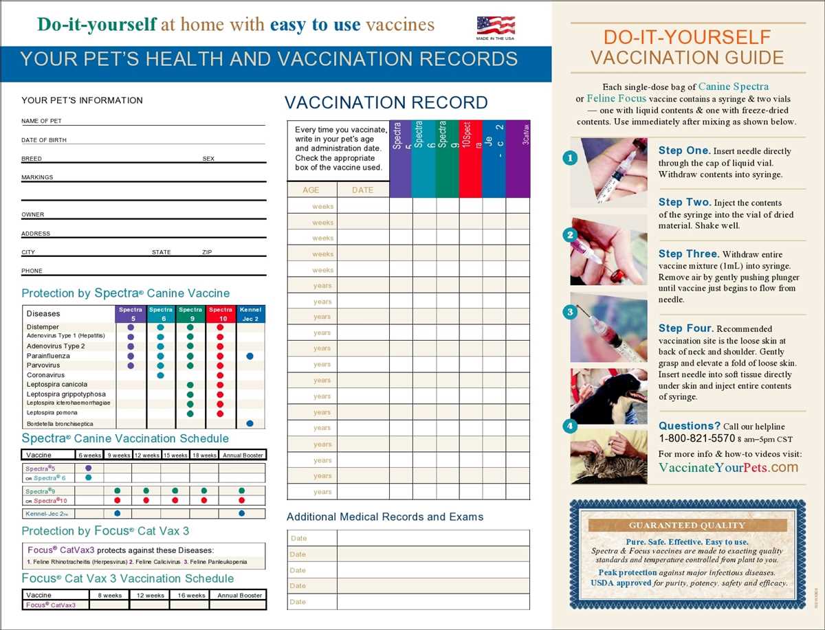 dog immunization record printable