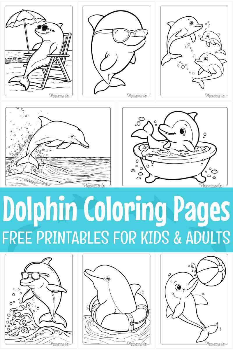 dolphin coloring page printable