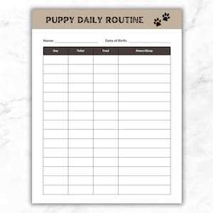 daily routine printable puppy schedule