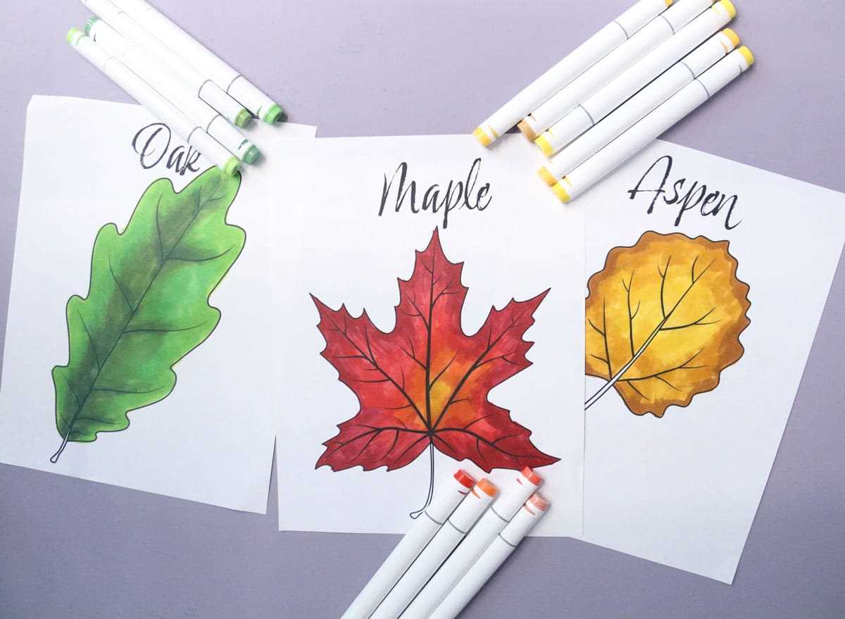 fall colored leaves printable