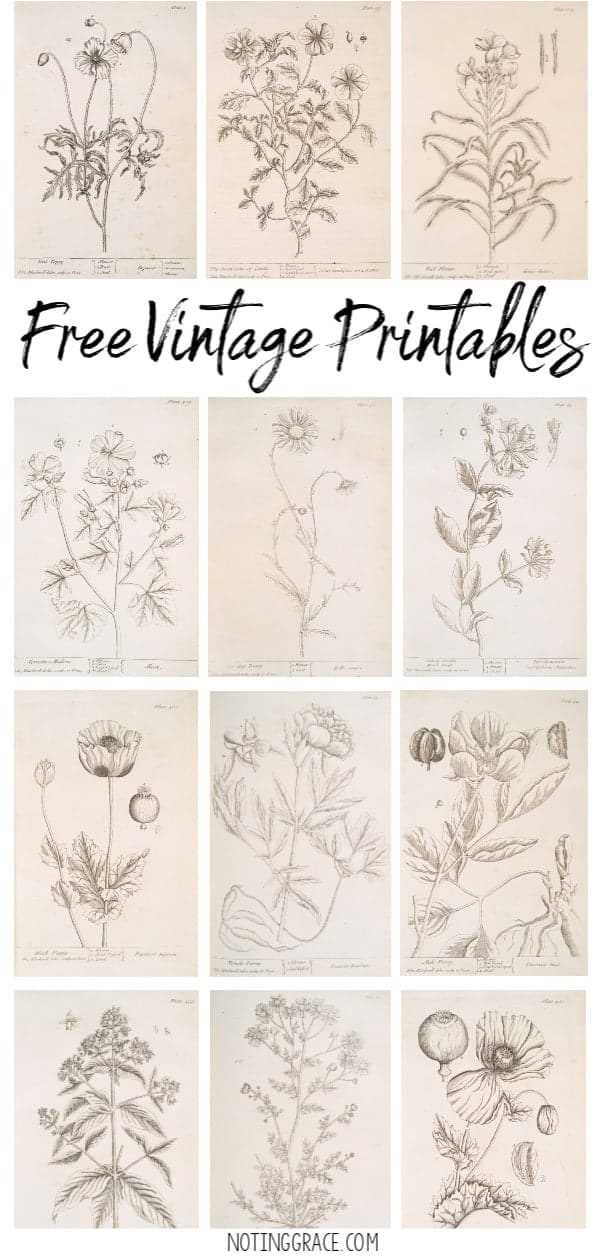 free art printables