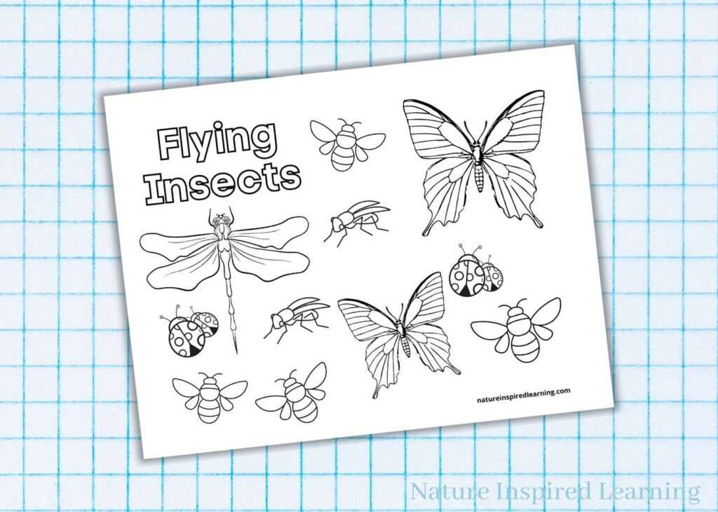 free bug printables