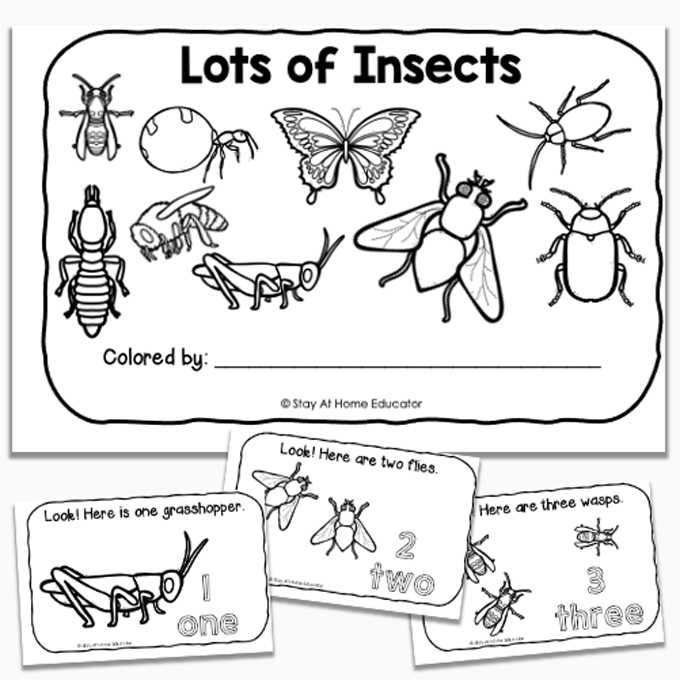 free insect printables