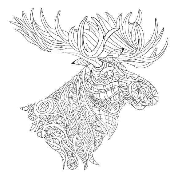 free printable adult coloring pages animals