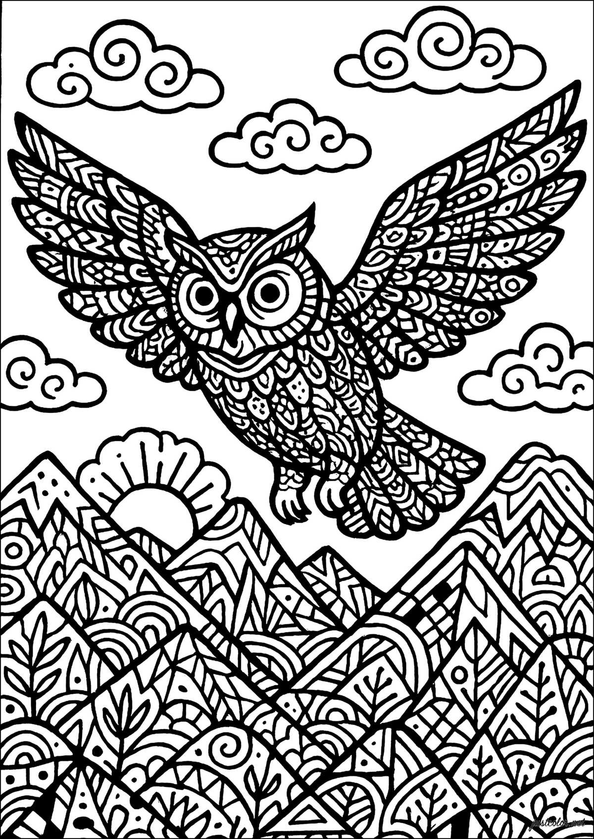 free printable coloring pages of owls