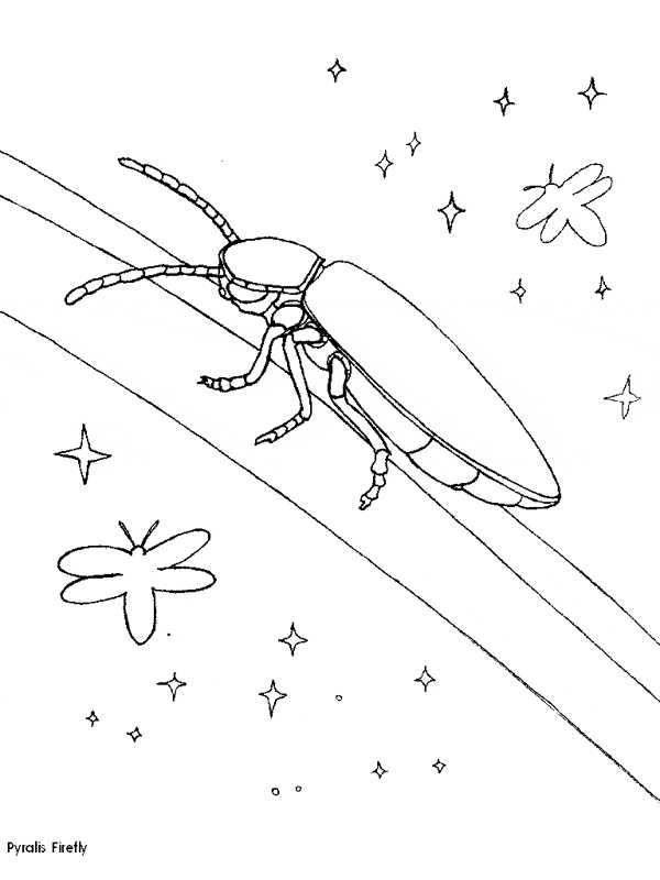 free printable firefly template