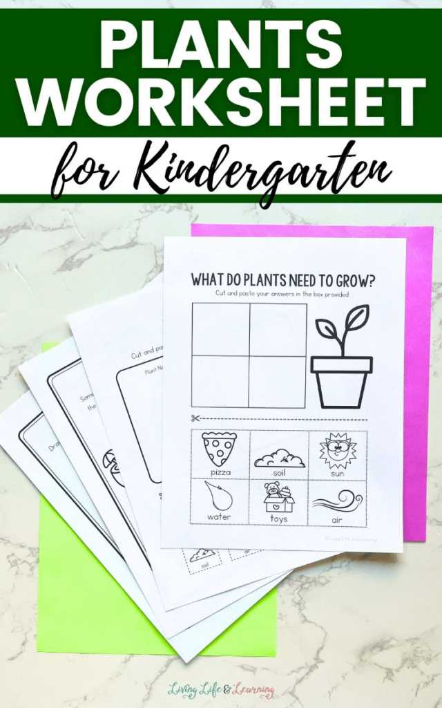 free printable plant worksheets for kindergarten
