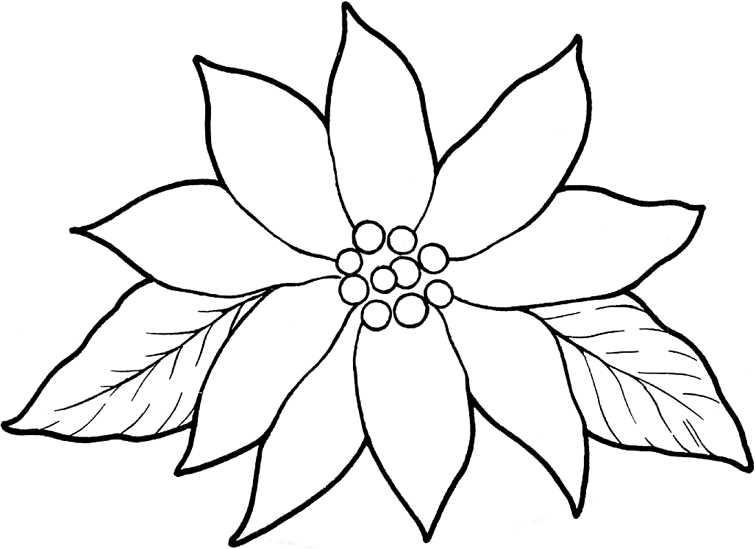 free printable poinsettia patterns