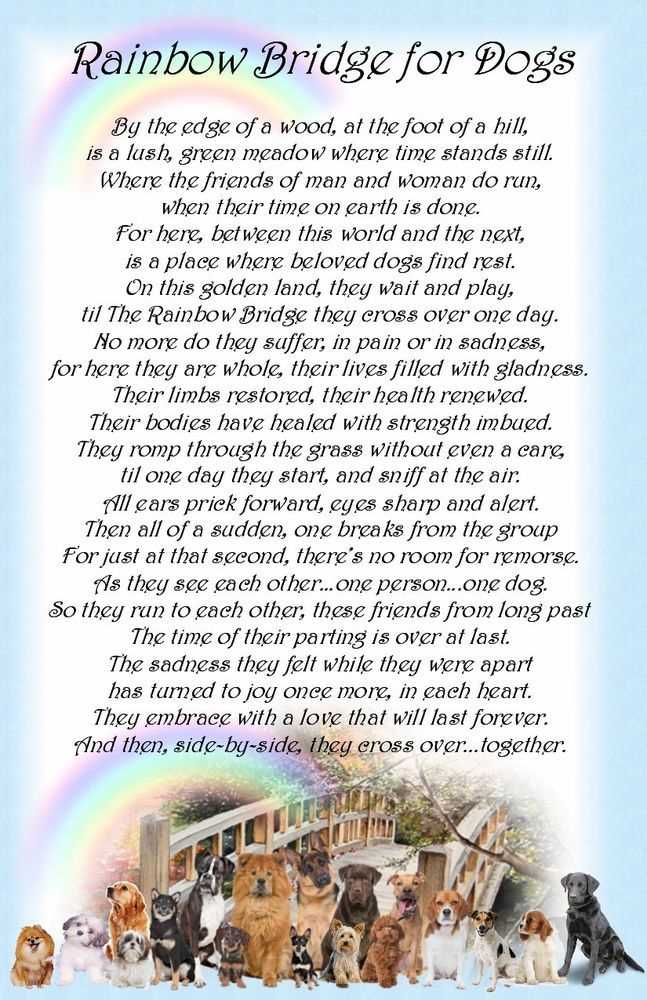 free printable rainbow bridge poem printable