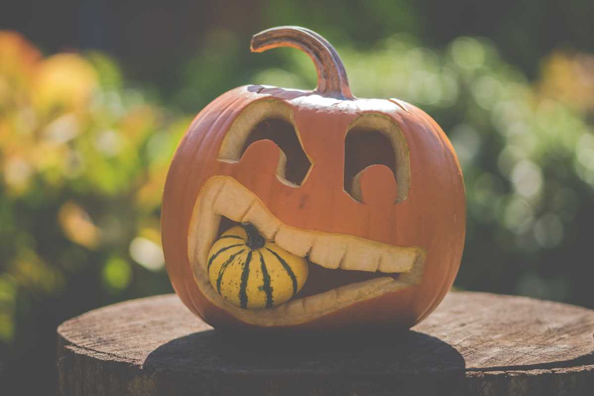 halloween pumpkin printable stencils halloween pumpkin printable stencils