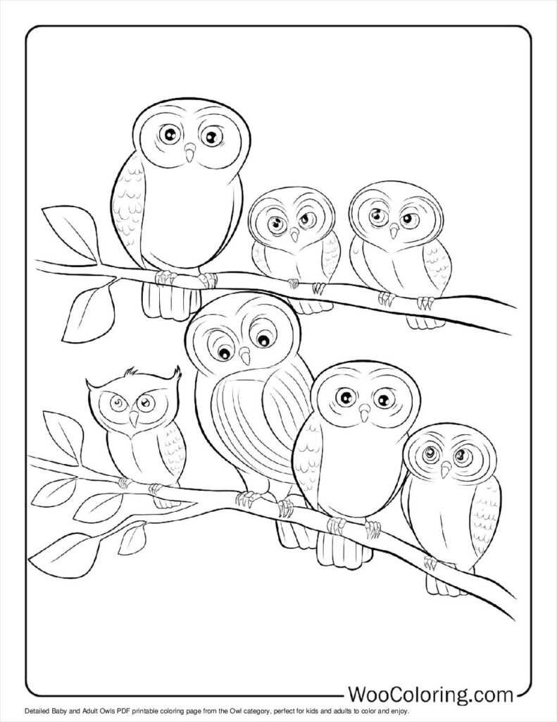 printable coloring pictures of owls printable coloring pictures of owls