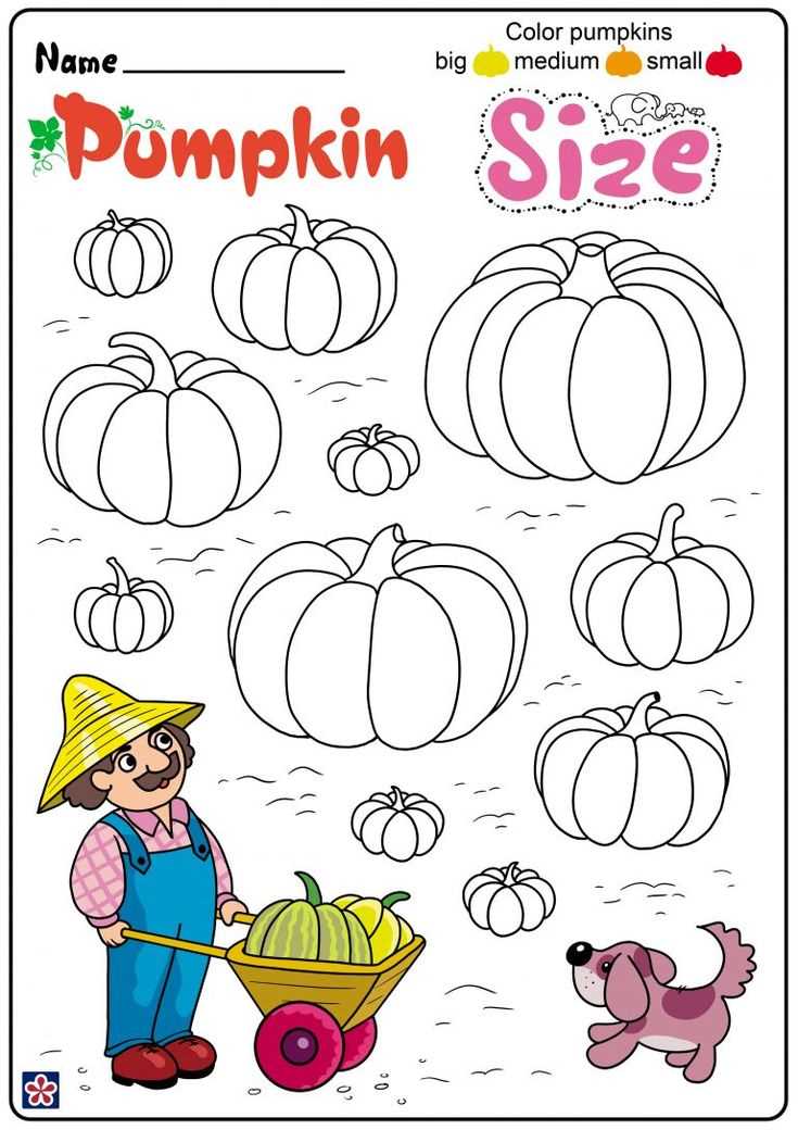 life cycle of the pumpkin printable